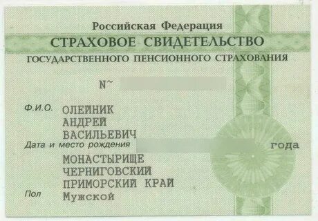 Как узнать кому принадлежит снилс по номеру