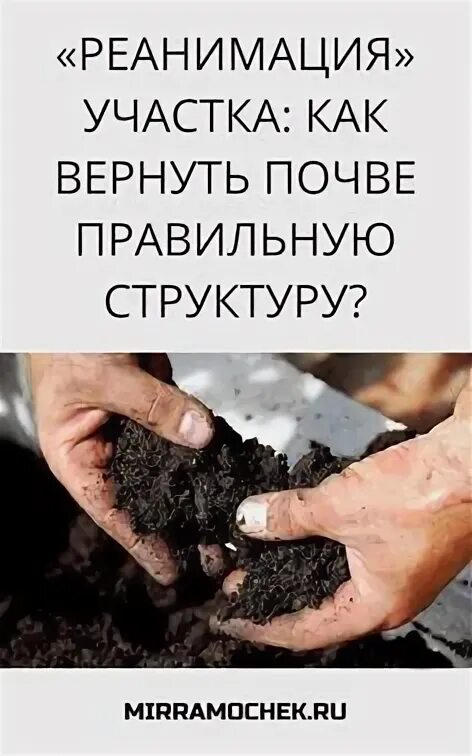 Как реанимировать землю. Как реанимировать землю