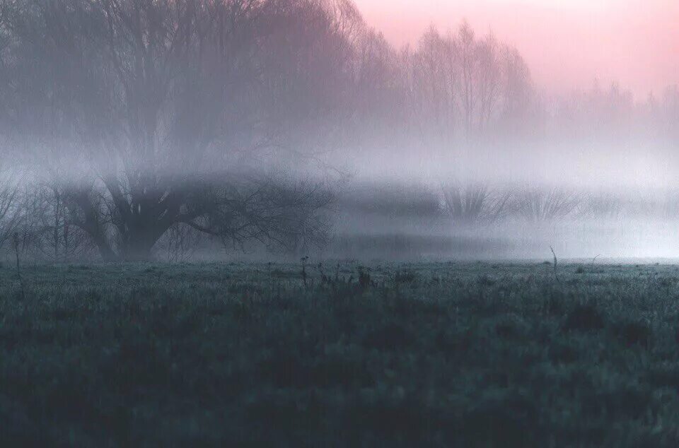 Меланхолия пейзаж. Moon, fog and cold. Туман. Туман в степи. Песчаный туман.