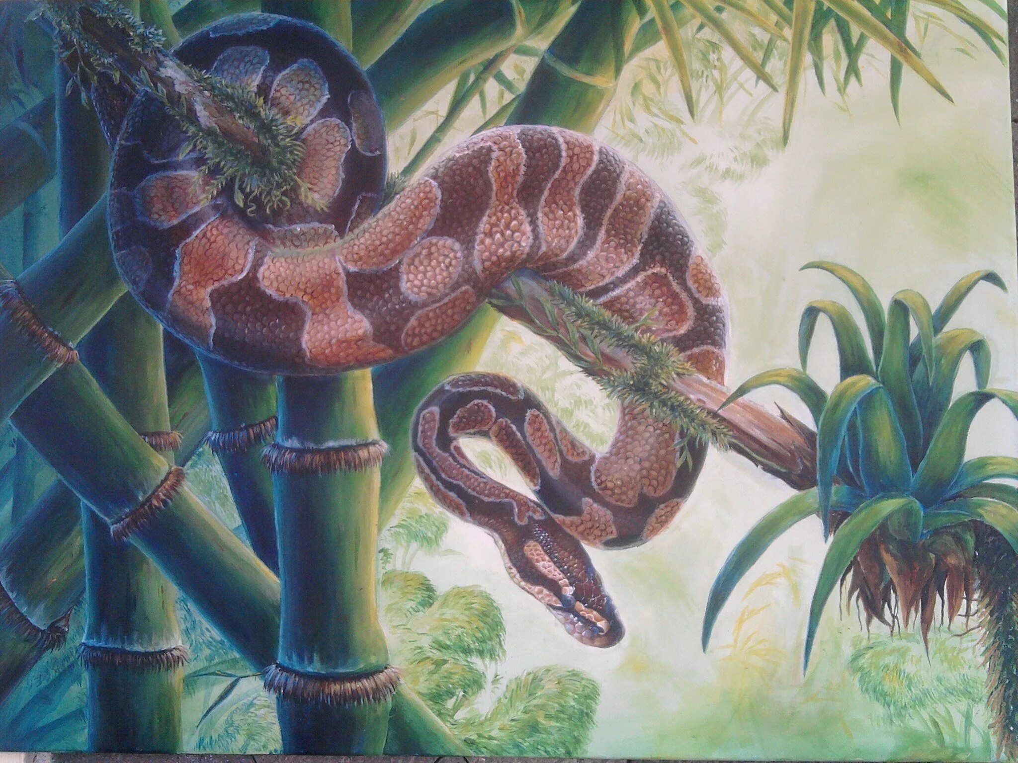 Змея живопись. Змеи в джунглях. Змеи в живописи. Тропические змеи. Удав тропической