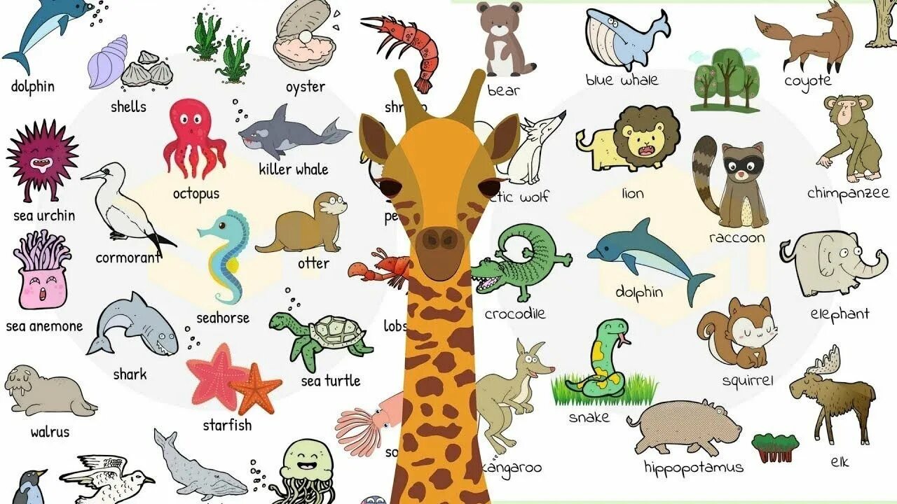 Keeping wild animals as pets essay