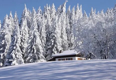 Красиво петь дом из дерева зимний пейзаж