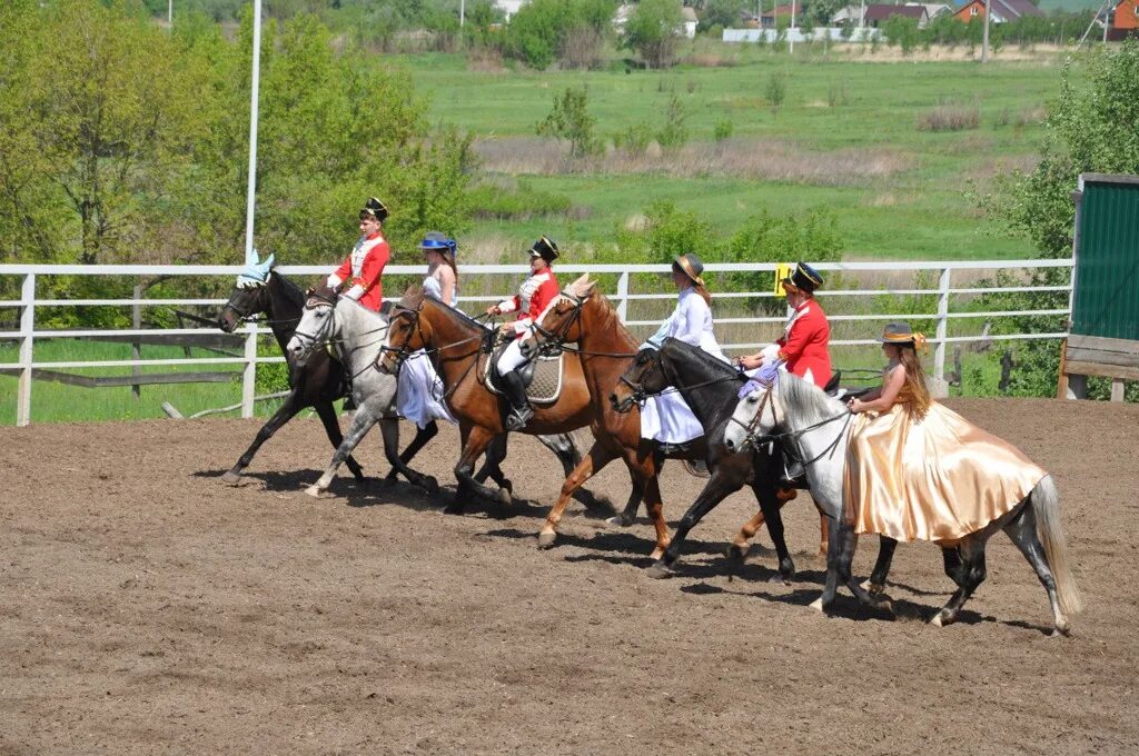 Конюшня зарайск. Кск ангел зарайск. Витязь зарайск. Клуб зарайск. Кск ангел зарайск.