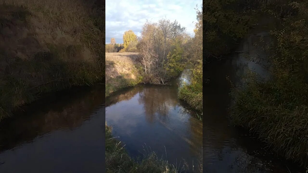 Галерея осенняя река эстэ фрагмент. Река осенью. Текст осенью река освещенная. Текст осенью река освещенная. Текст осенью река освещенная.