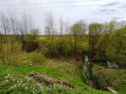 Центр городище