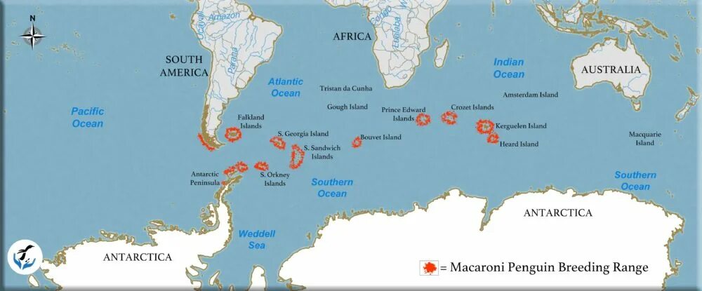 Остров пингвинов где находится king penguin range map Macaroni penguin, Gentoo penguin, Penguins