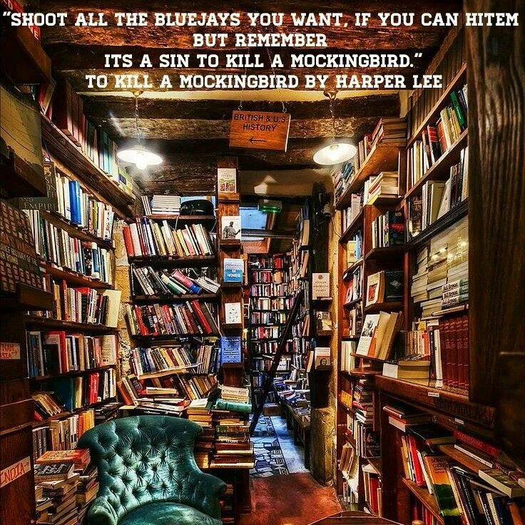 Книга библиотека в которой интересно. Книжный магазин shakespeare and company в париже. магазин шекспир и компания париж. шекспир и компания книжный магазин париж внутри. домашняя библиотека.