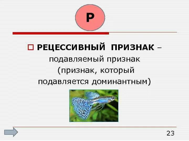 Подавляемый признак доминантный рецессивный. Признак который подавляется. Рецессивный признак это признак проявление которых. Альтернативные признаки это в биологии. Подавляемый признак это в биологии.