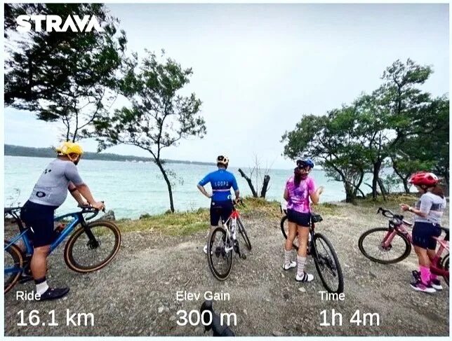 Cuanto cuesta strava premium