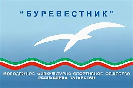 Общество буревестник. ООО Буревестник Казань. Буревестник спортивное общество. Спортивное сообщество Буревестник. Физкультурное общество «Буревестник.