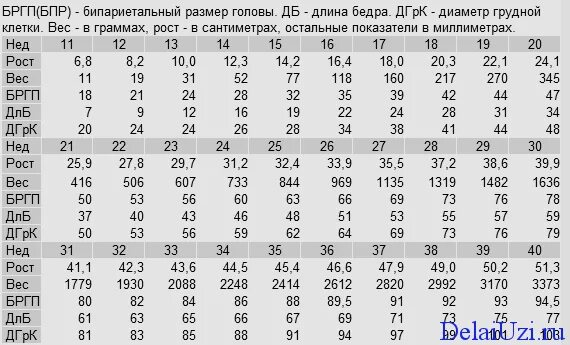 Бипариетальный размер головы 36 недель норма. Таблица размеров плода по неделям беременности по УЗИ нормы. Бипариетальный размер 3 триместр. Окружность головки в 12 недель норма.