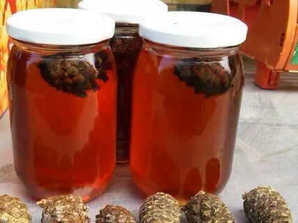 Шишки сосны настойка применение
