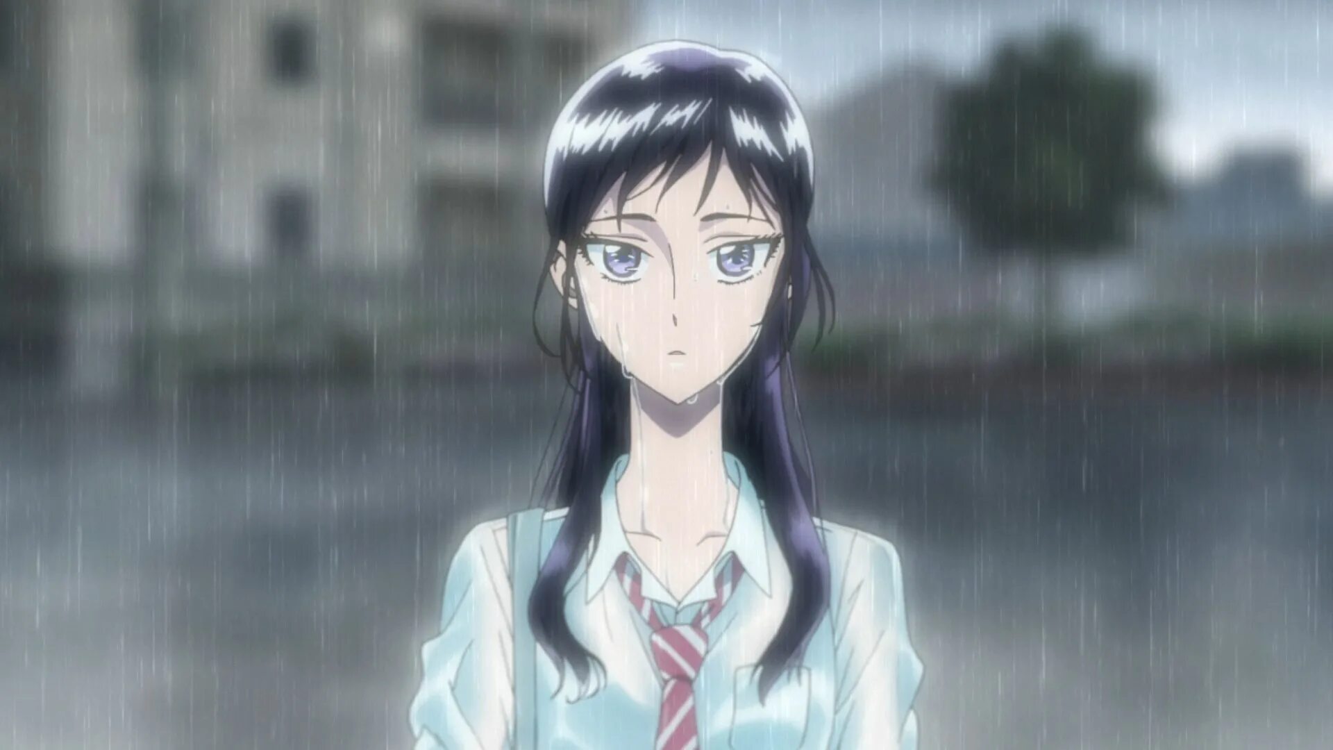 After the rain