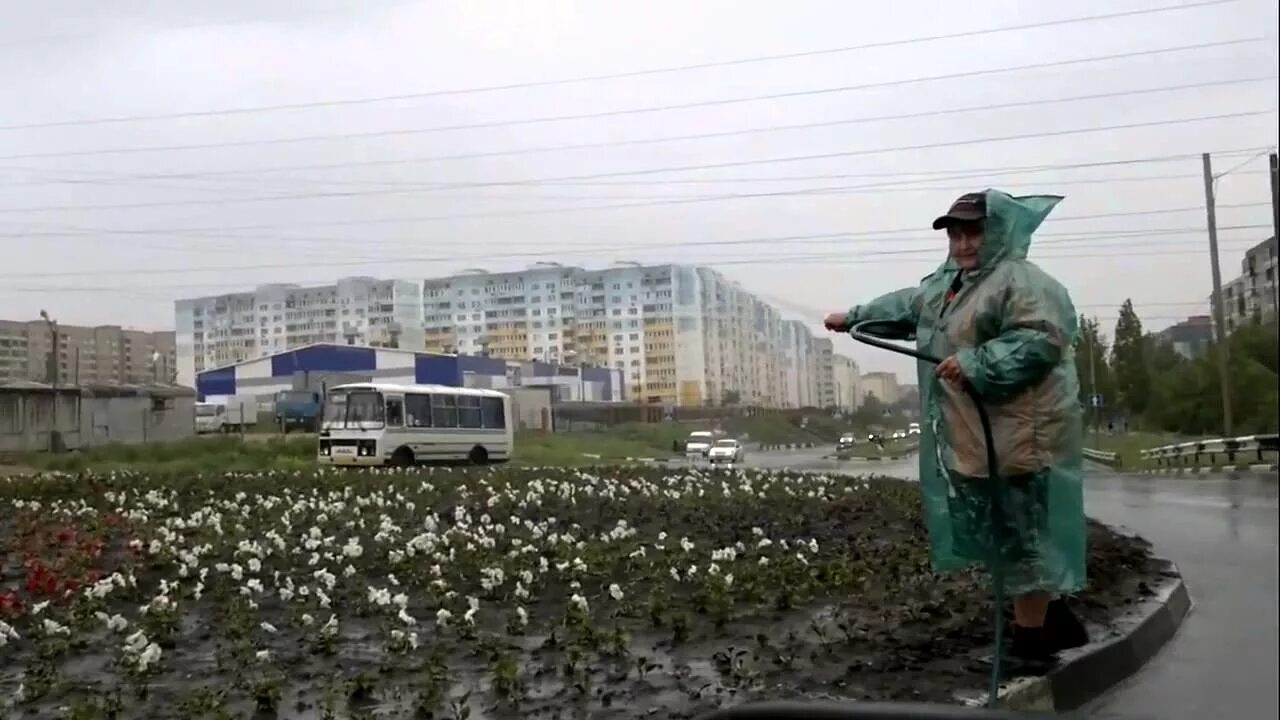 Работают во время дождя. Дождь в огороде. Дождь поливает. Дождь поливает огород. Дождик поливает огород.