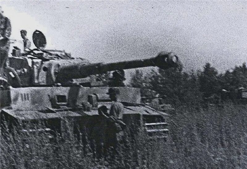 Totenkopf танк тигр s 33 Курская дуга. Танковая дивизия Тотенкопф. Дивизия Тотенкопф Курская дуга. Тигры Тотенкопф Курская дуга.
