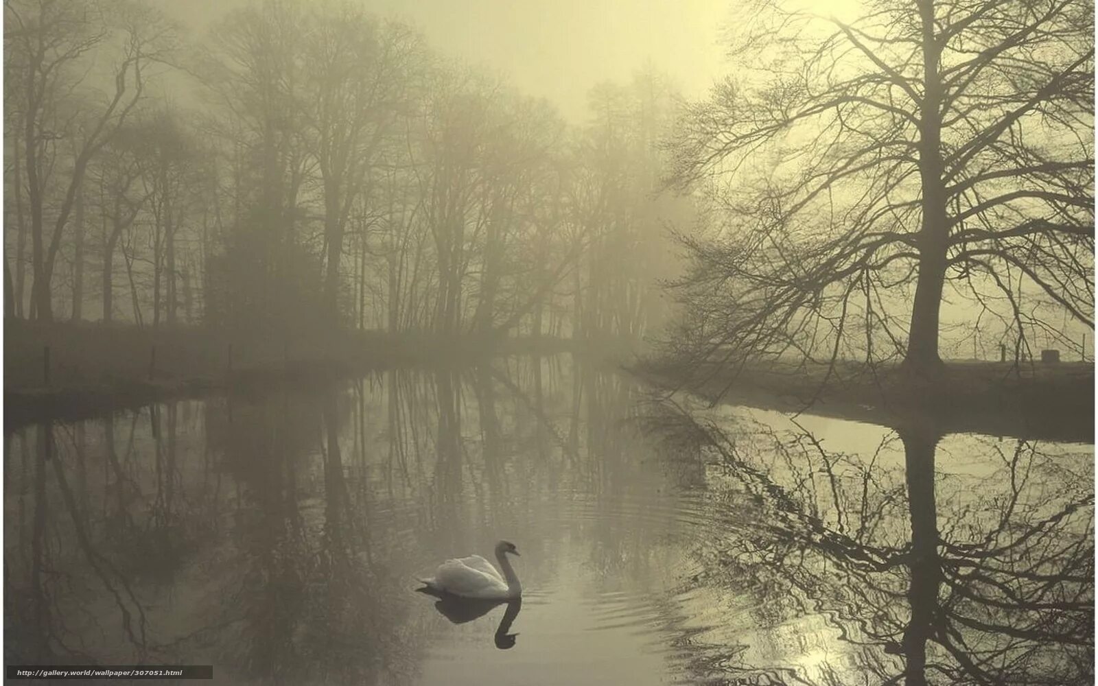 Серый пейзаж. Дождь мост. Река тоска. Поздняя осень. Туманный пейзаж.