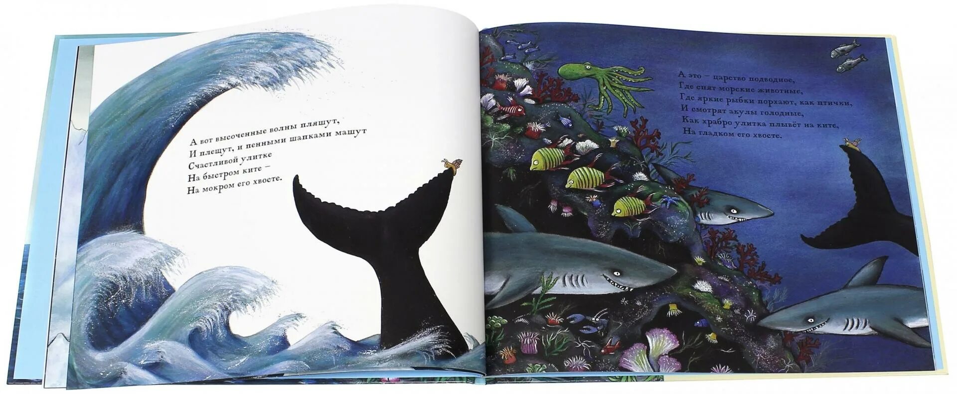 Книга про кита. Улитка и кит» д. Дональдсон.. Дональдсон улитка и кит иллюстрации. Машины творения улитка и кит.