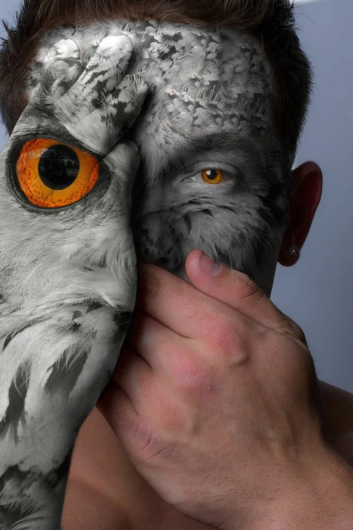 орел с лицом человека. охота с орлами в монголии. гарпия птица мифология. орел с лицом человека. лицо наполовину животное.