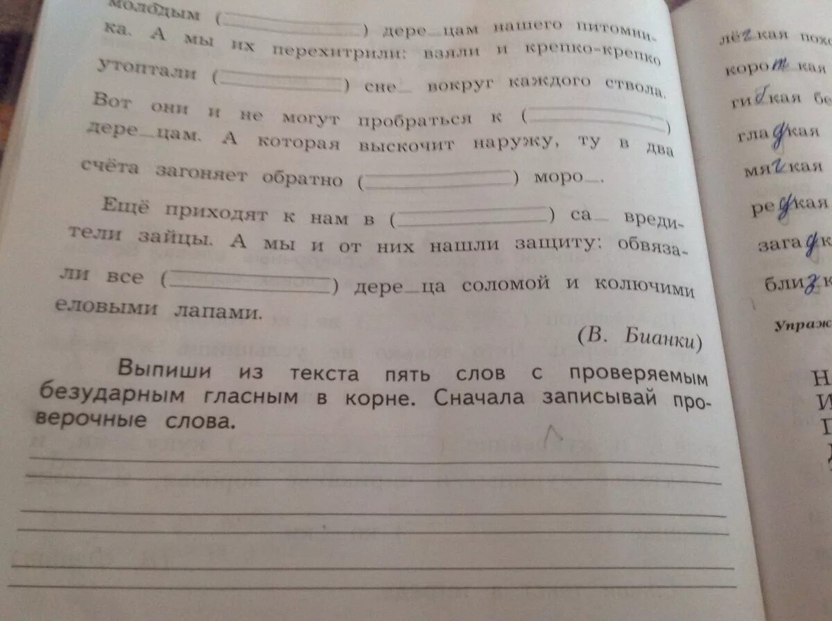 Запиши в скобках проверочные слова вставь пропущенные буквы. Запиши в скобках проверочные слова. Запиши проверочные слова вставь пропущенные буквы. Вставьте пропущенные буквы запишите проверочные слова. Вставь пропущенную орфограмму подобрав проверочное слово