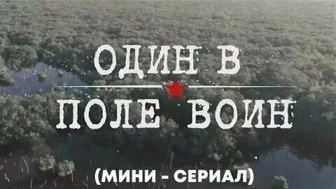 Один воин в поле не воин ремикс