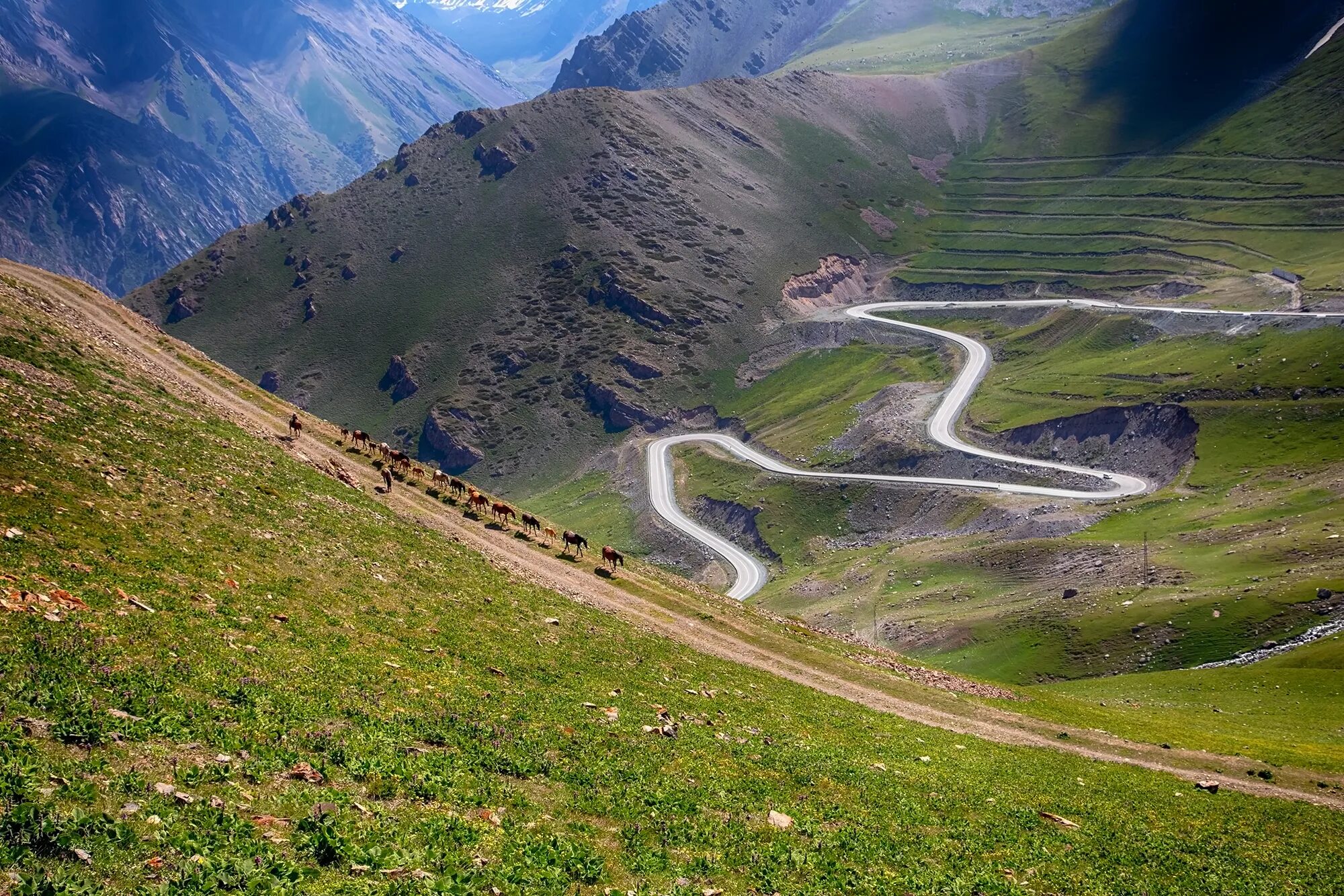 Switzerland Швейцария mountains горы перевал трава лето summer Berge, Gotthard p