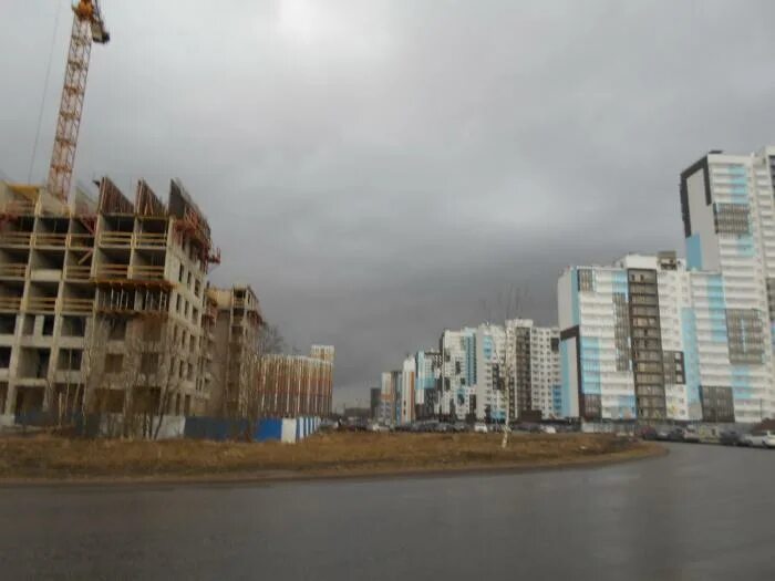 Ул плесецкая санкт петербург. Глухарская 30 спб. Жк полис плесецкая 10. , 16. Плесецкая 20 к 1 санкт-петербург.