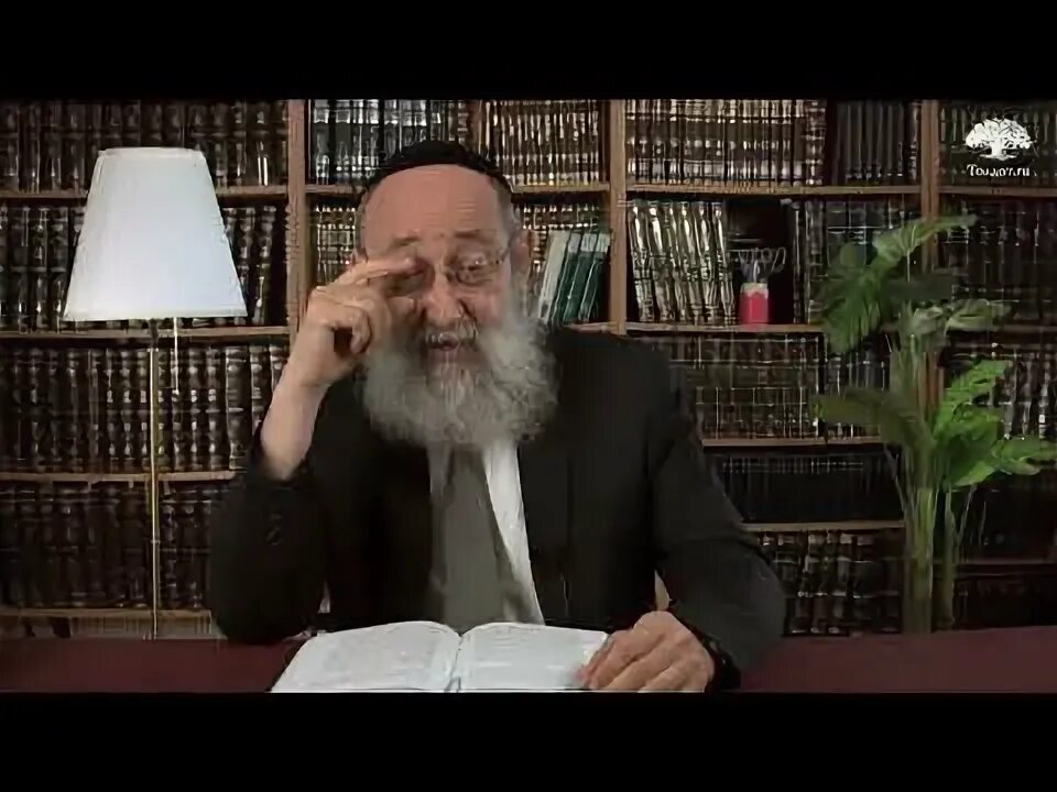 Рав ашер кушнир. Рав ашер кушнир