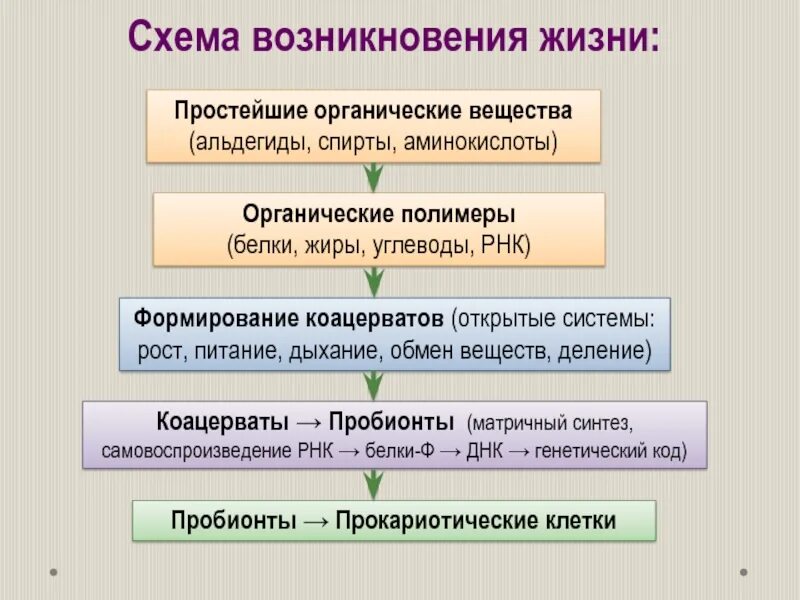 Схема происхождения жизни. Этапы возникновения жизни на земле. Схема зарождения жизни. Основные гипотезы возникновения жизни.