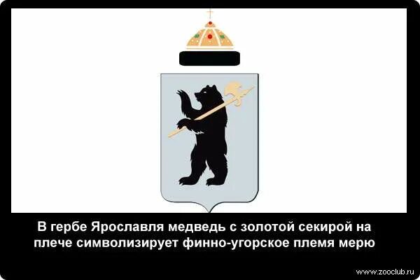 Герб ярославской губернии. Герб золотой медведь. Медведь на гербе ярославля. Герб золотой медведь. Герб ярославля.
