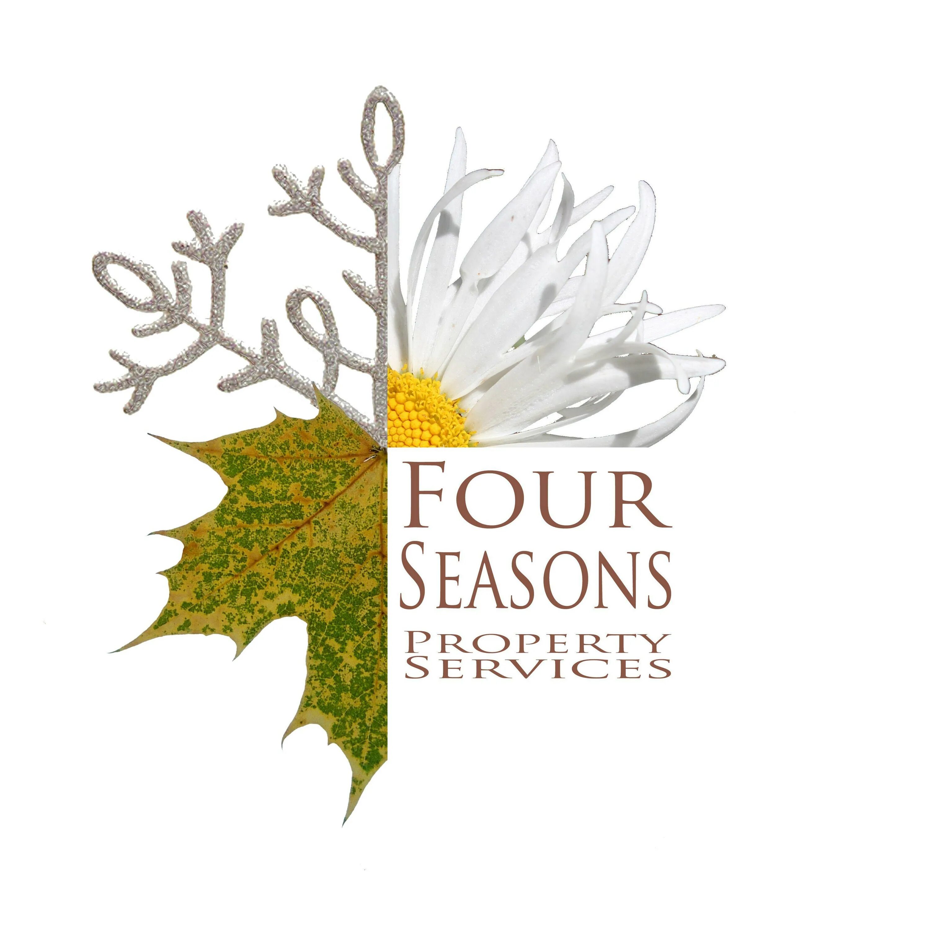 Seasons reasons. Отель four Seasons логотип. Времена года лого. 4seasons логотип.