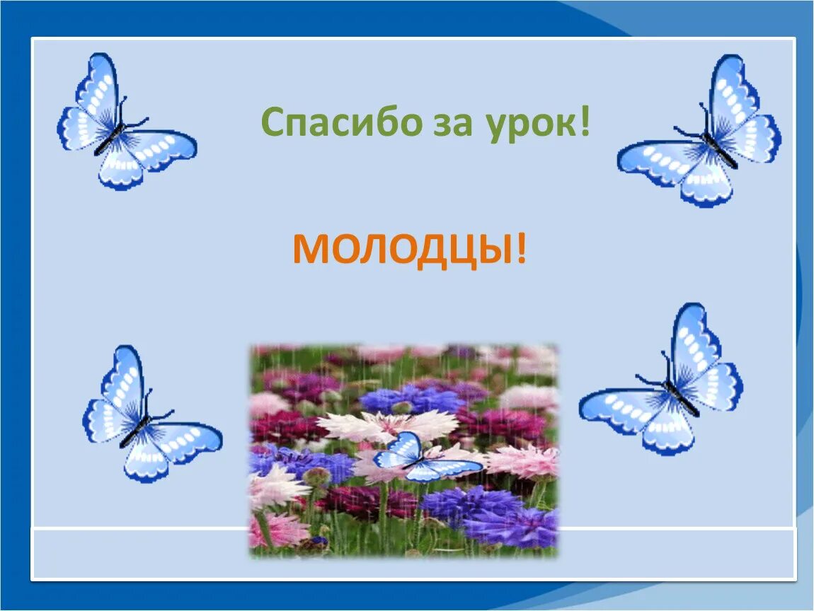 План урока окружающий мир 1 класс. Урок по окружающему миру. Урок окружающий мир. Почемумы не булем рвать цветы и ловить бабочек.