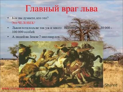 Враги льва