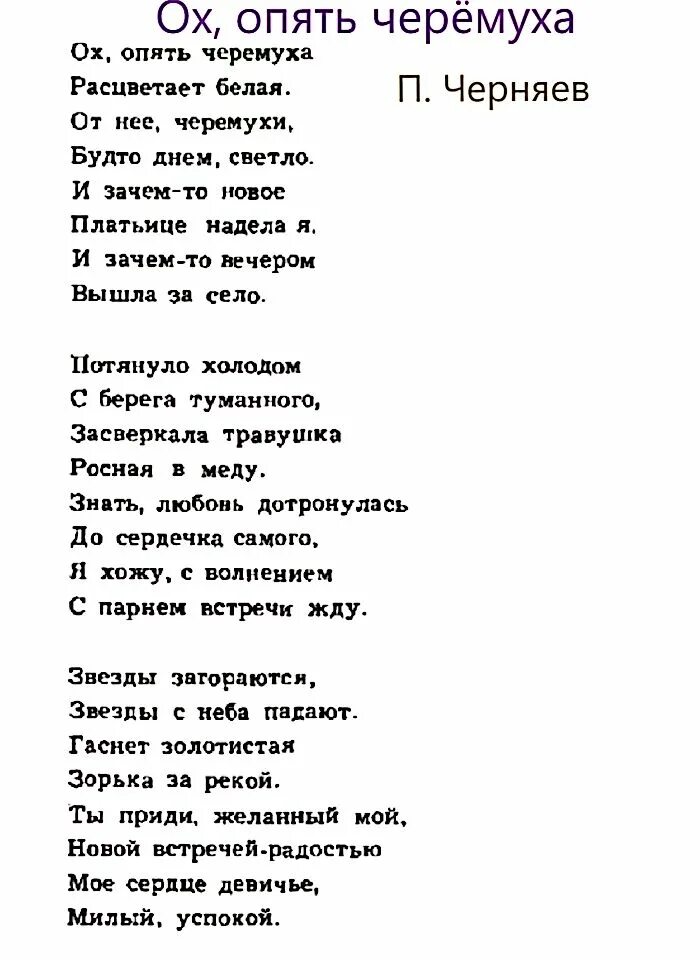 Опять черемуха в цвету текст. Самогоночка песня текст. Текст песни опять черемуха в цвету. Песня о земной красоте текст опять черёмуха в цвету. А без тебя земля цветет текст песни