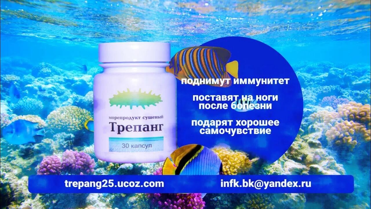 Трепанг в капсулах. Трепанг. дальневосточный морской огурец сухой. морской женьшень. сухой трепанг.