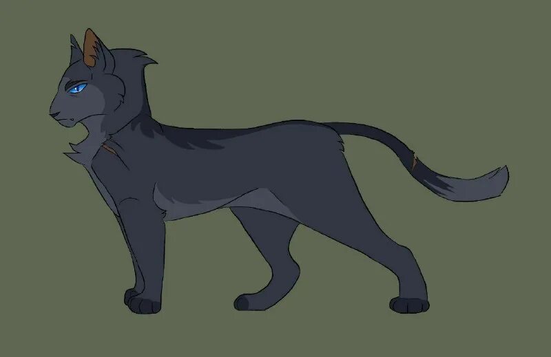 коты воители вихрегон. коты воители лунница и вихрегон. коты воители лунница и вихрегон. коты воители вихрегон. фото бича из котов воителей.