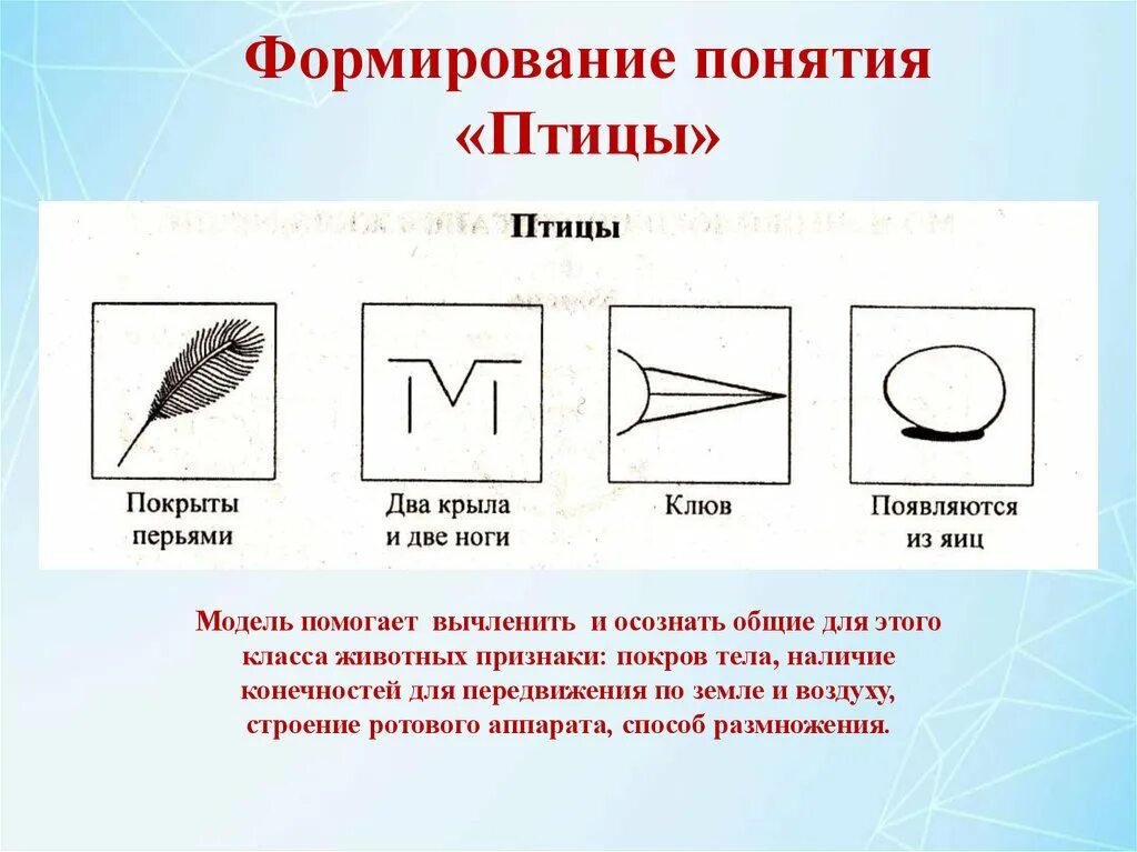 Графическая модель представляет собой. Модель птицы для дошкольников. графическая модель птицы. модель понятия птицы.