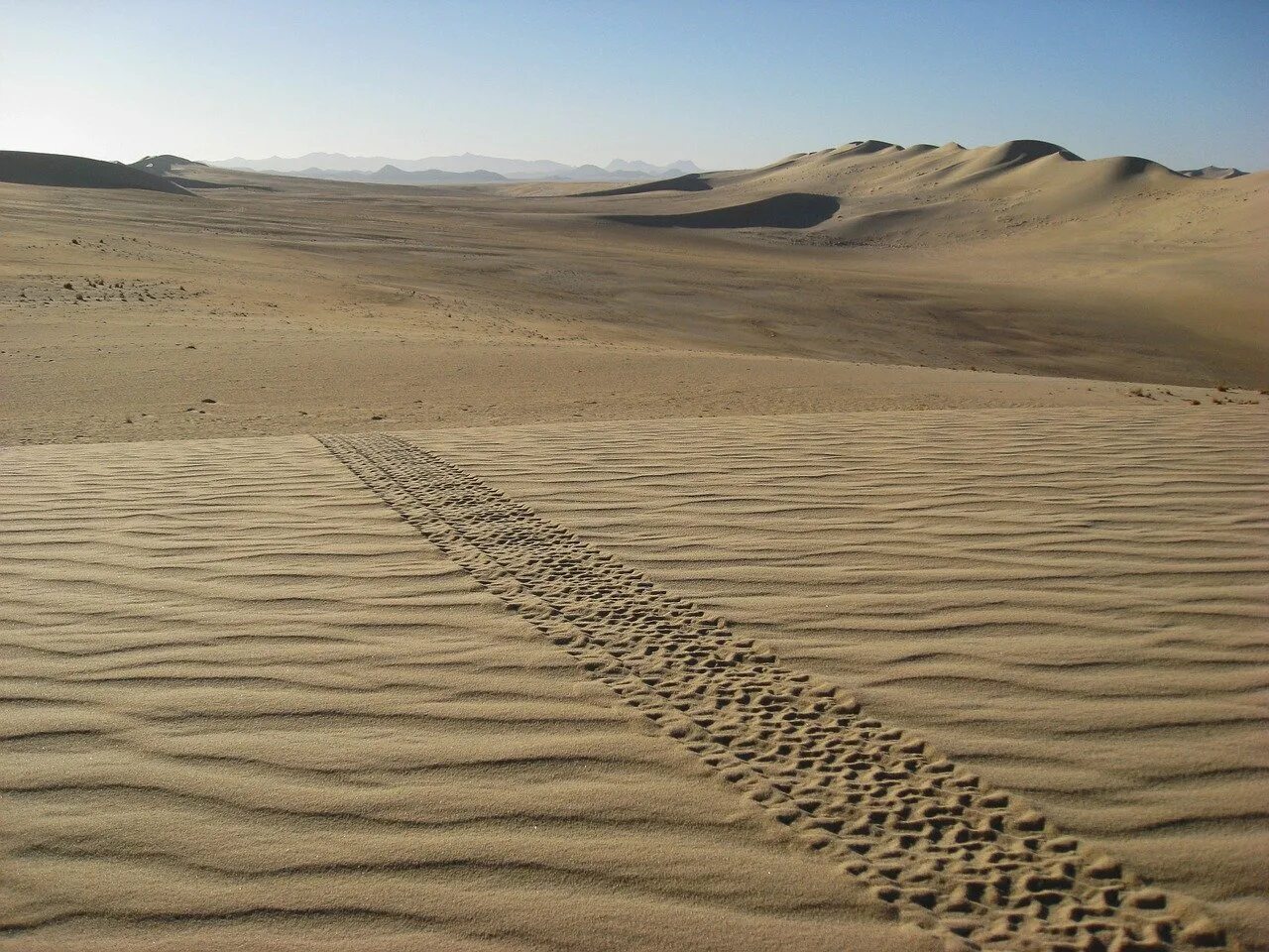 Сколько песок в сахаре. Дюны Барханы грядовые Пески. Алжир сахара. Дюны Алжир. Песчаные дюны Алжир.