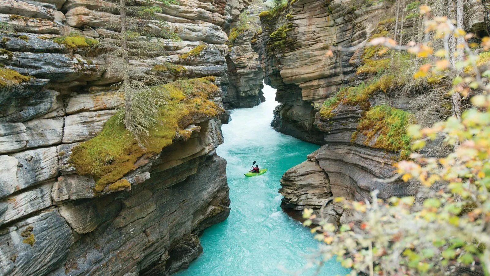 Куртатинское ущелье северная осетия тропа чудес. Тропе чудес. Тропе чудес. Река фиагдон кадаргаванский каньон. Тропа чудес северная осетия.