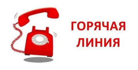 Номер телефона избирательной комиссии горячей линии