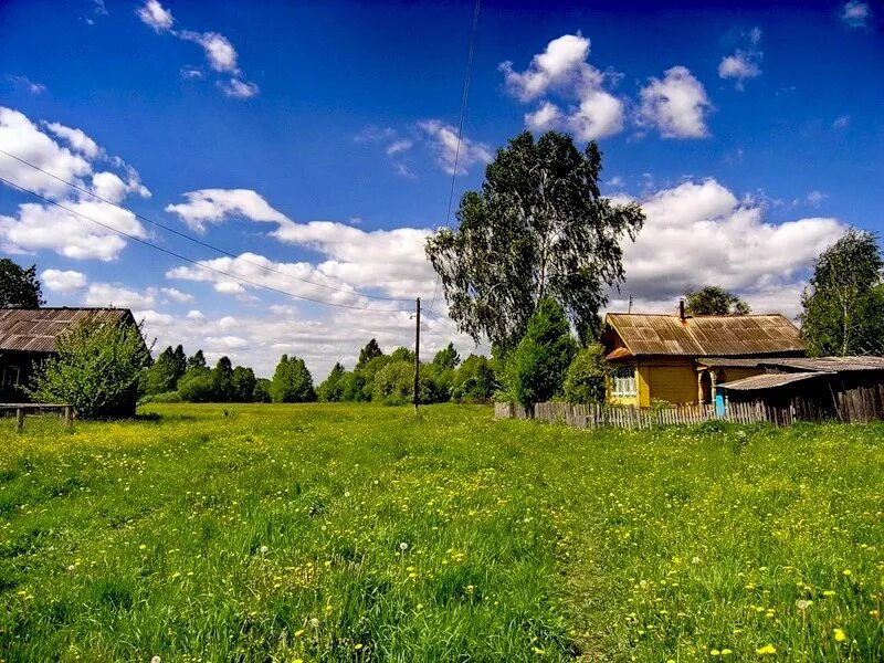 Про русские деревни. Деревня деревенька. Деревня летом. Сельский пейзаж. Яркая деревня.