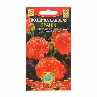 Гвоздика семена