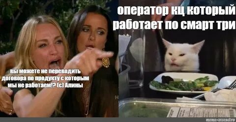 Мем с котом и двумя женщинами