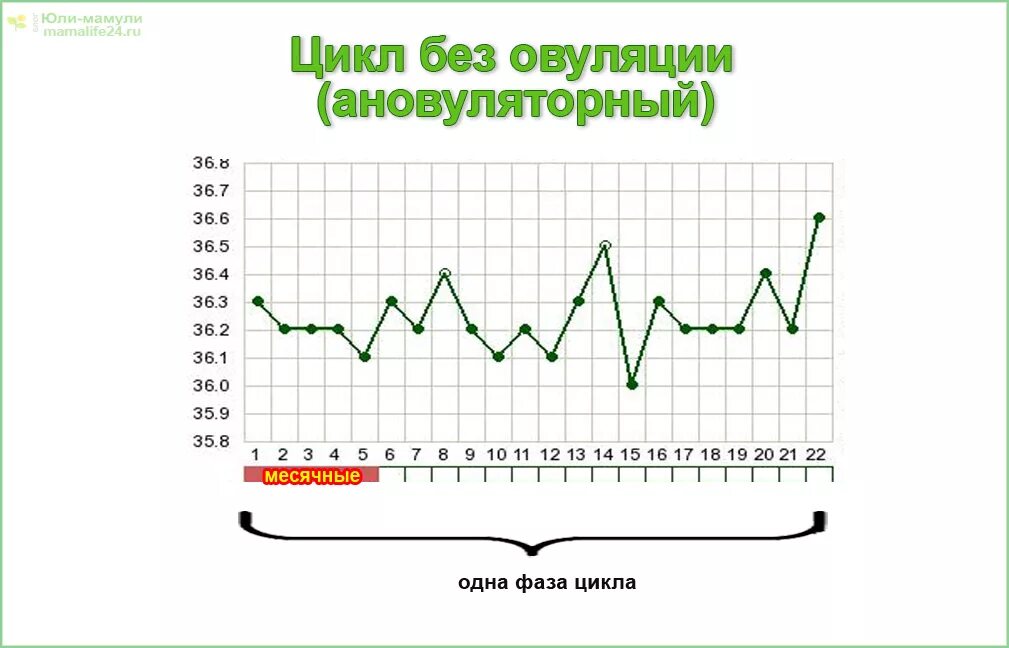 Цикл без овуляции. Ановуляторный цикл график базальной температуры. График БТ ановуляторном цикле. График базальной температуры ановуляторного цикла. Ановуляторный цикл на графике базальной температуры.