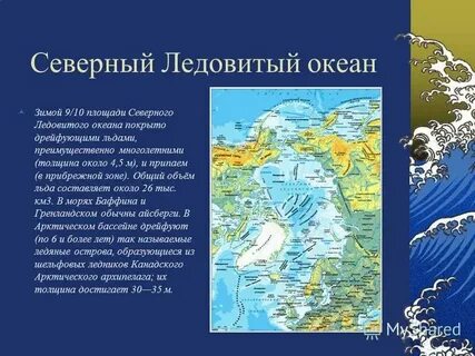 Какое море самое большое в мировом океане