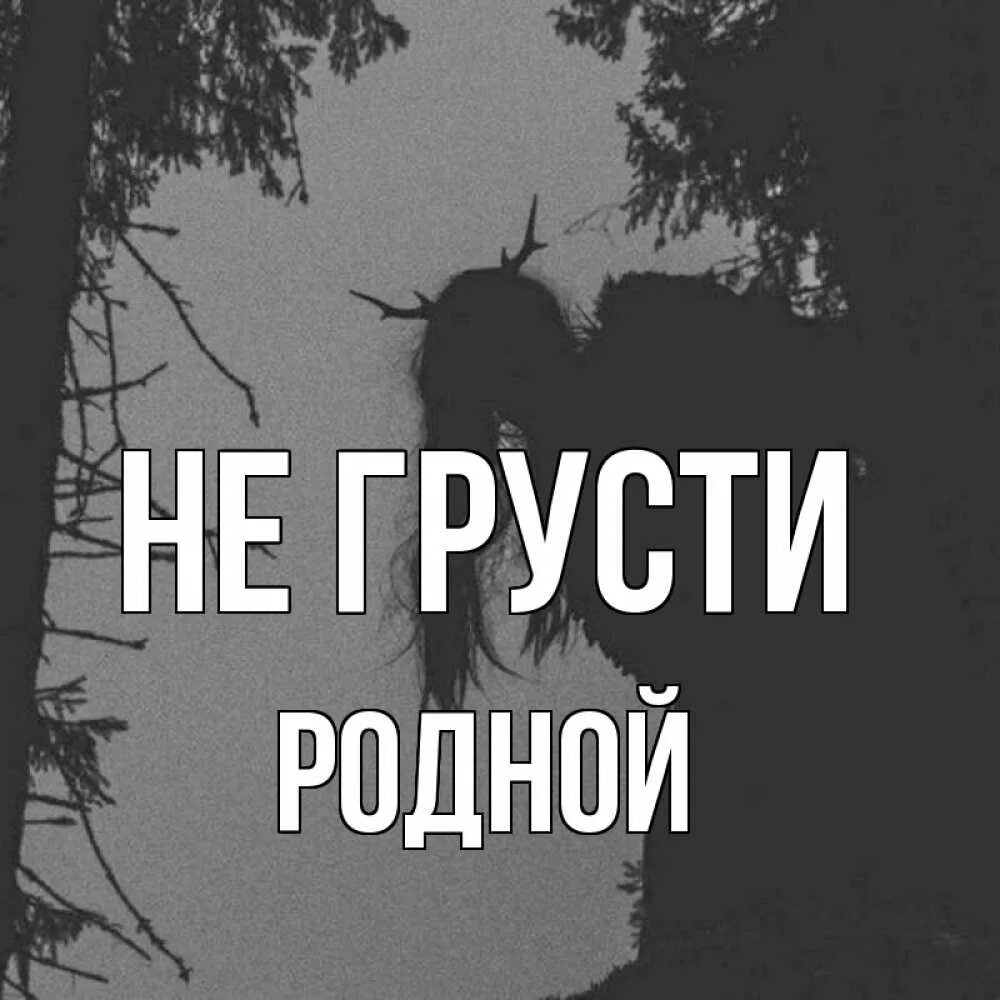 Не грусти родная. Не грусти моя родная.