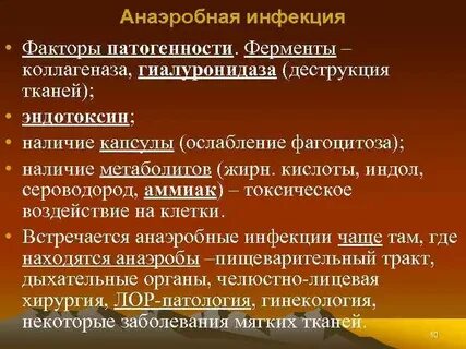 Лекции по инфекционным
