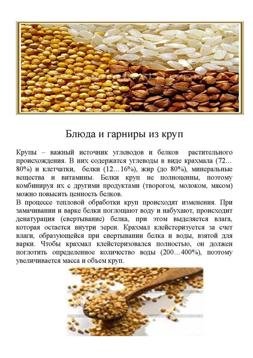 Ассортимент блюд и гарниров из круп. Приготовление блюд и гарниров из круп. блюда из круп и бобовых.