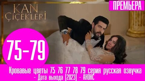 Кровавые цветы 311 на русском языке