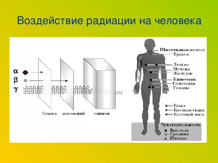 Воздействие радиационного излучения на организм человека. Влияние излучения на человека. Люди с радиоактивным излучением. Влияние радиоактивного излучения на человека.
