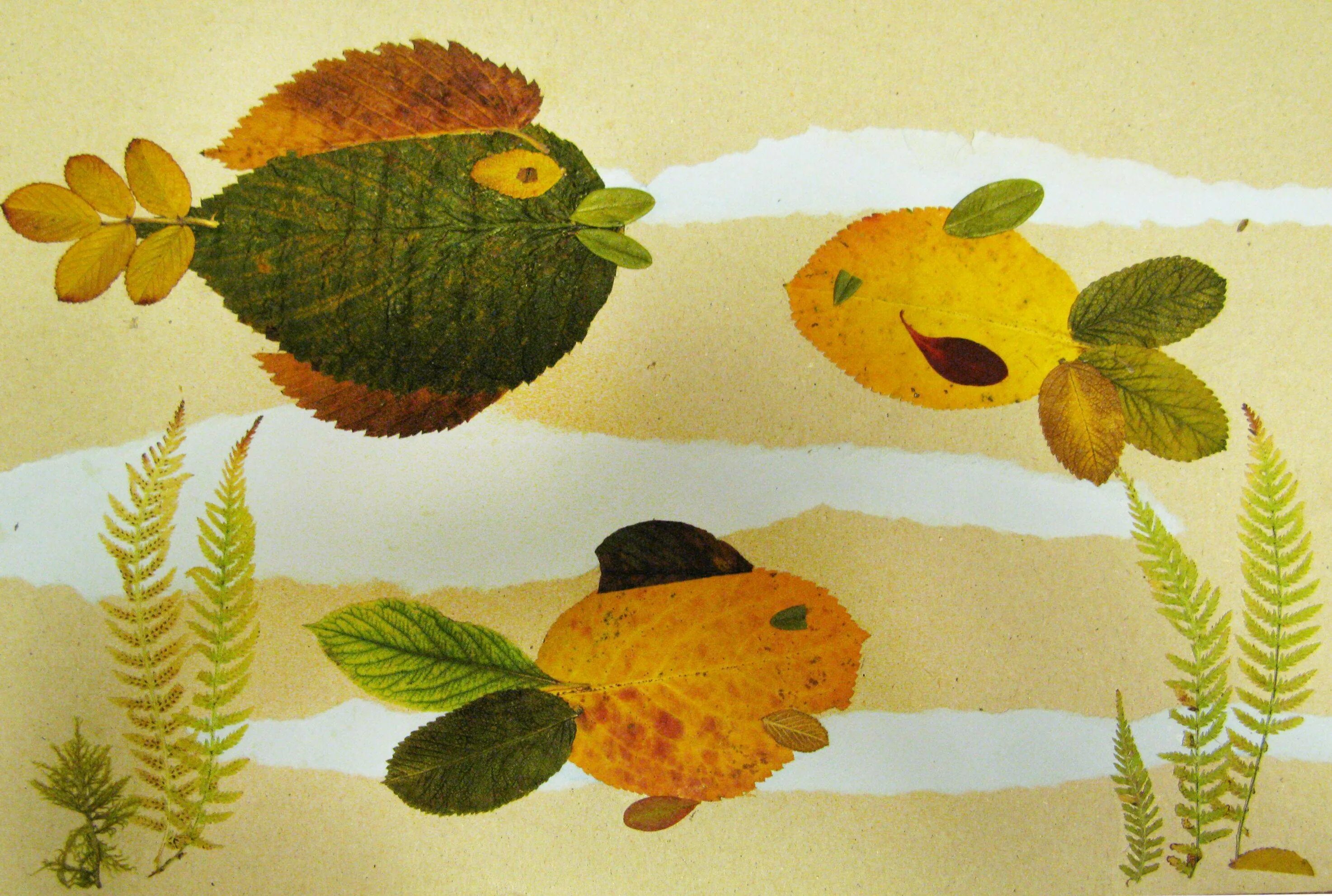 Аппликация из природного материала. Природный материал подготовительная группа. Конспект природный материал старшая группа. Осенние поделки для детей. Аппликация из осенних листьев.